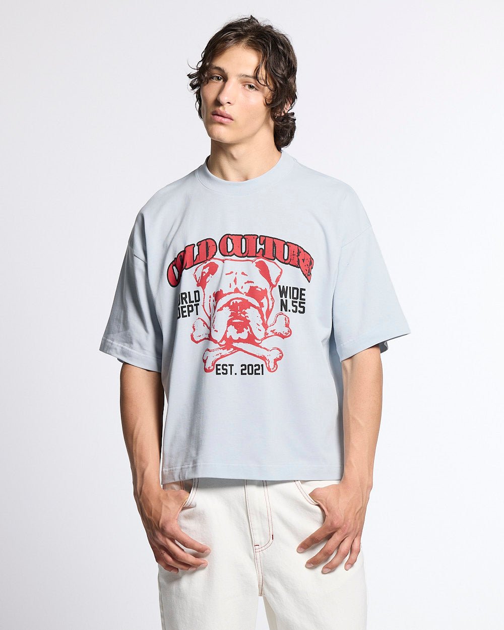 BULLDOG TEE LIGHT BLUE - light blue bulldog print tee, front view on male model - Cold Culture #man