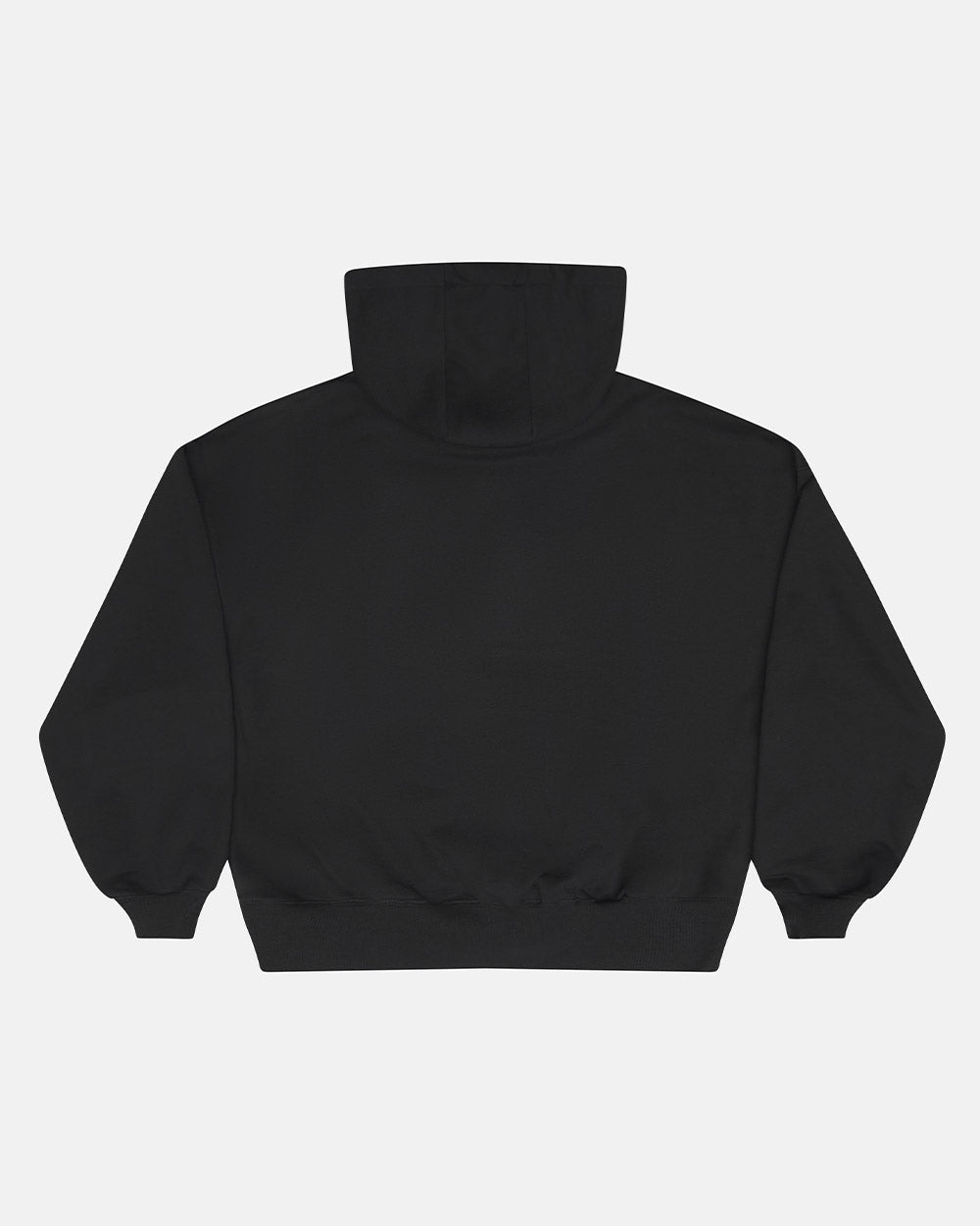 FADED AGE BUZO BLACK & BLUE - black half-zip hoodie, back view - Cold Culture #packshot