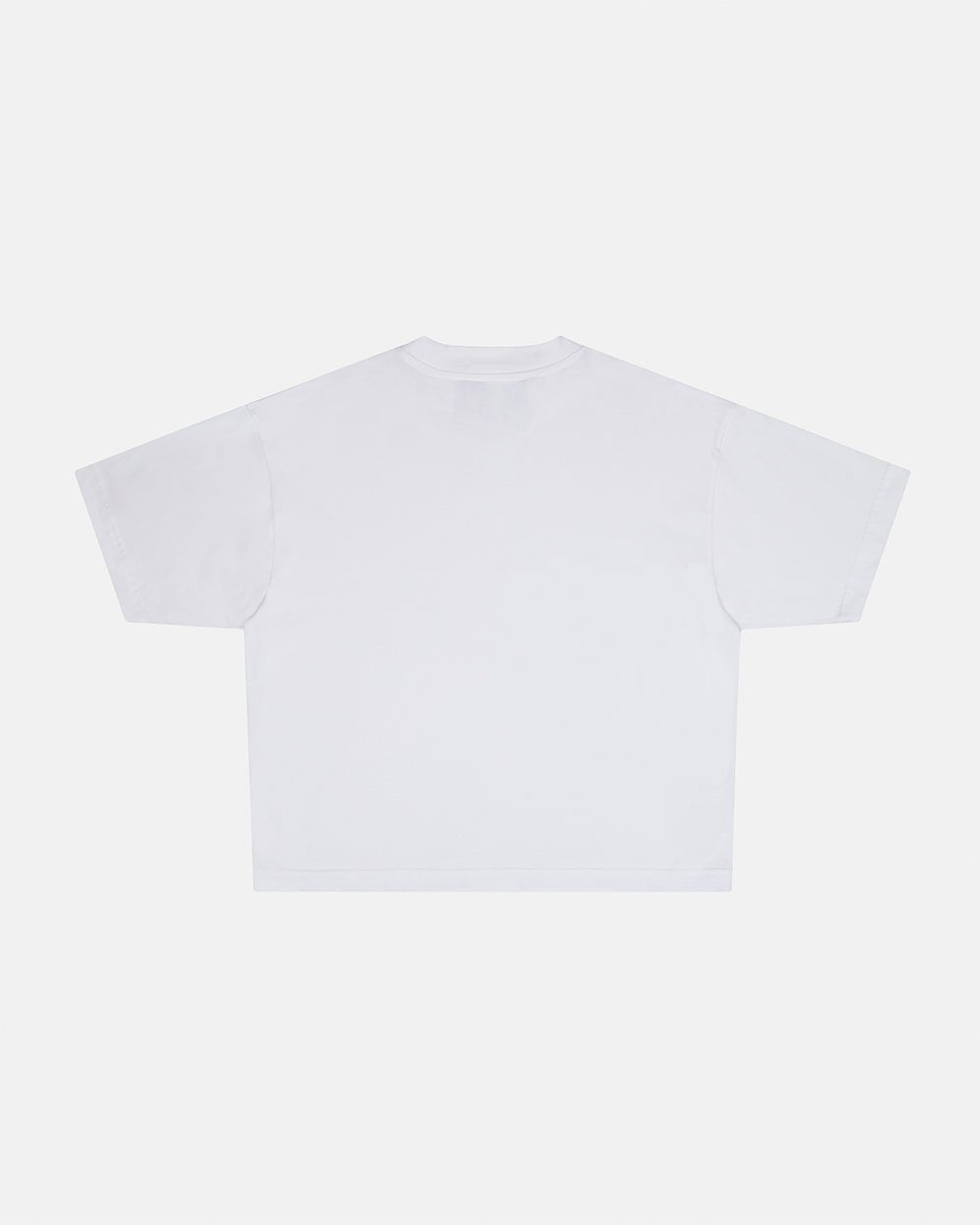 LOW KEY BASIC TEE 2 PACK WHITE & BLACK - black and white basic tees, back view - Cold Culture #packshot
