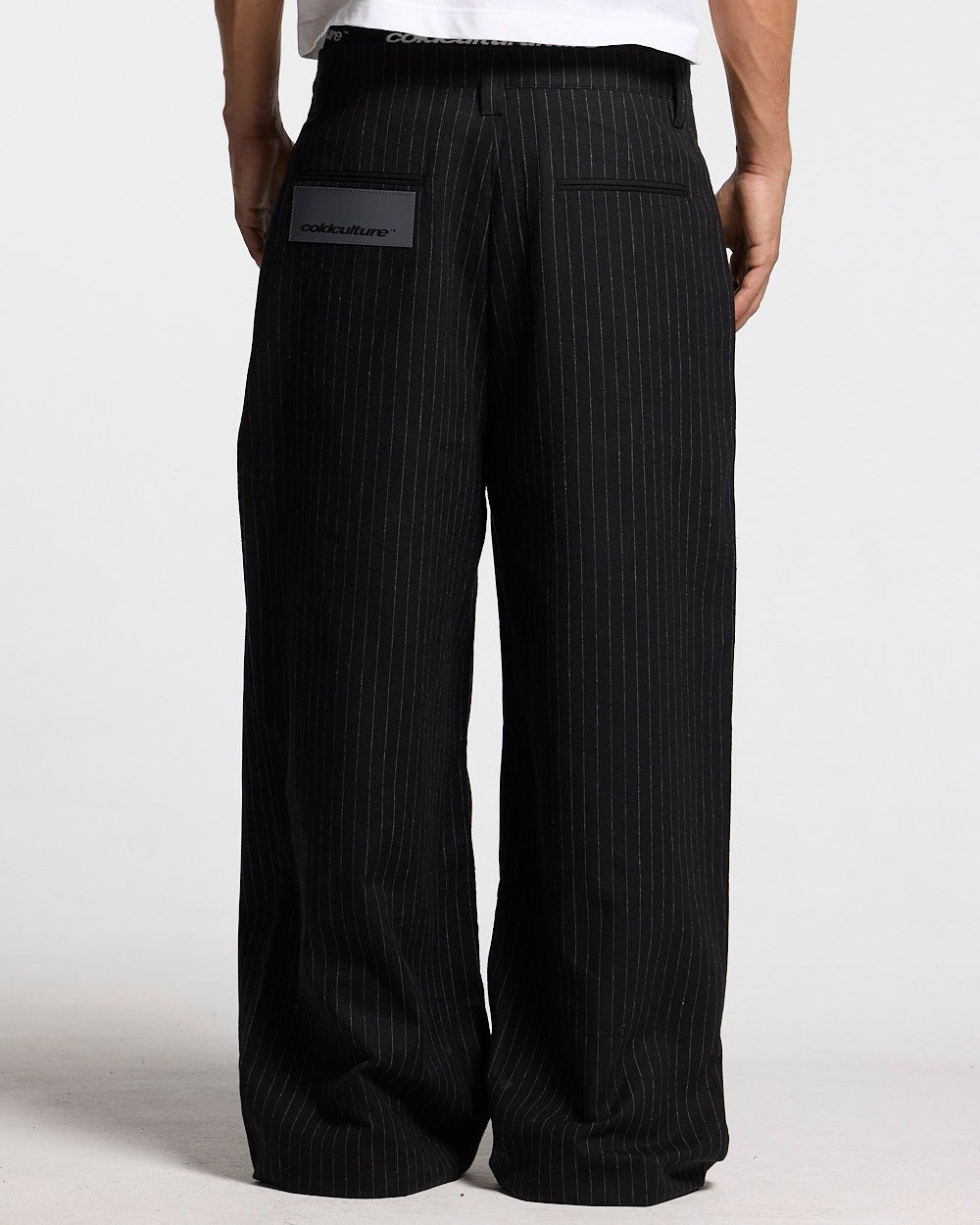 SEAM EFFECT LINE PANTS BLACK - black pinstripe pants, back view on male model - Cold Culture