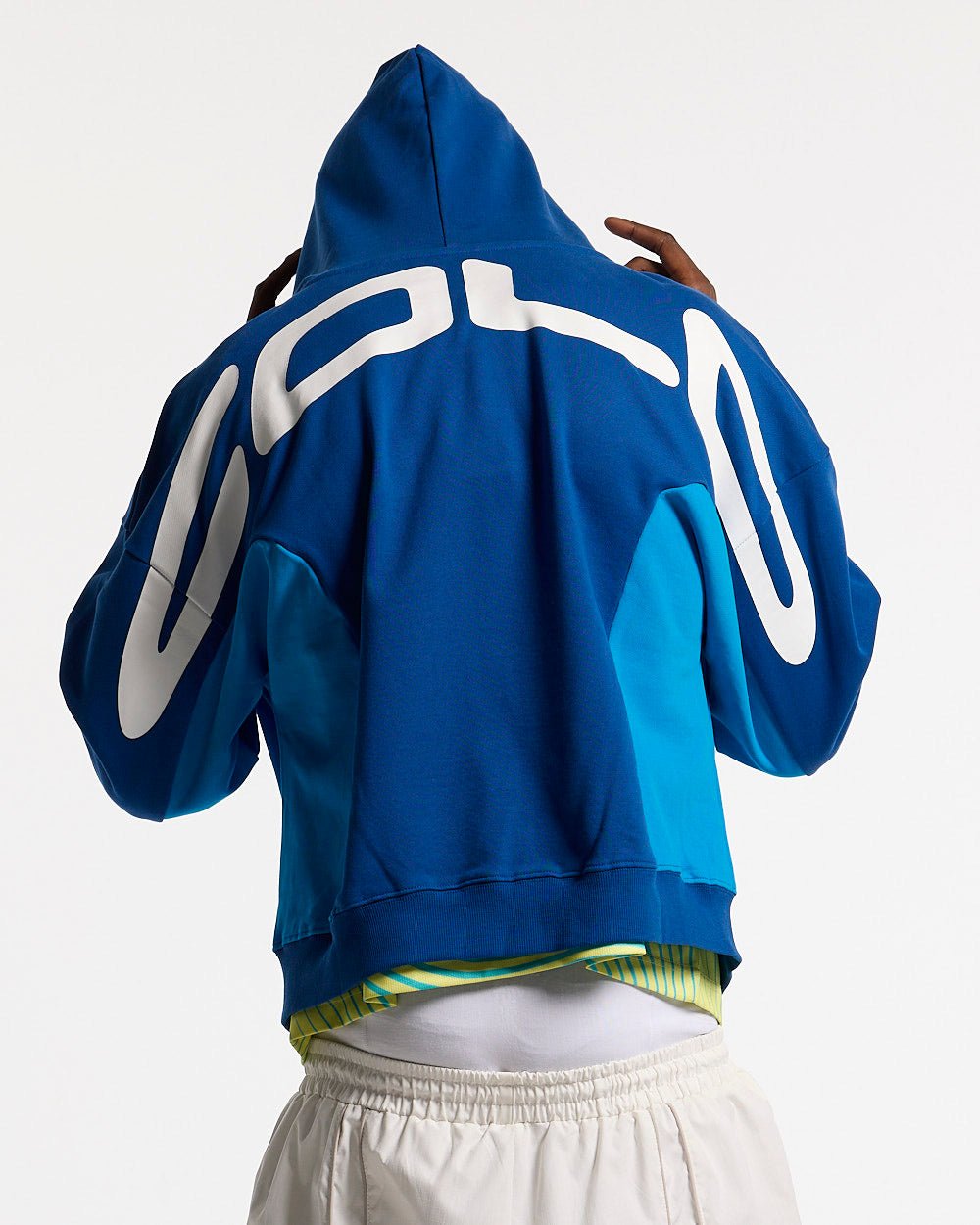 TWISTTER ZIP HOODIE BLUE - blue zip-up hoodie, back view on male model - Cold Culture