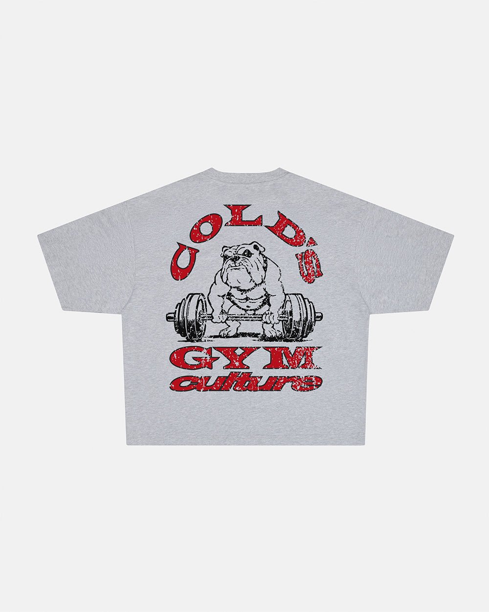 COLD´S GYM BOXY TEE GREY - grey boxy tee, back view - Cold Culture #packshot