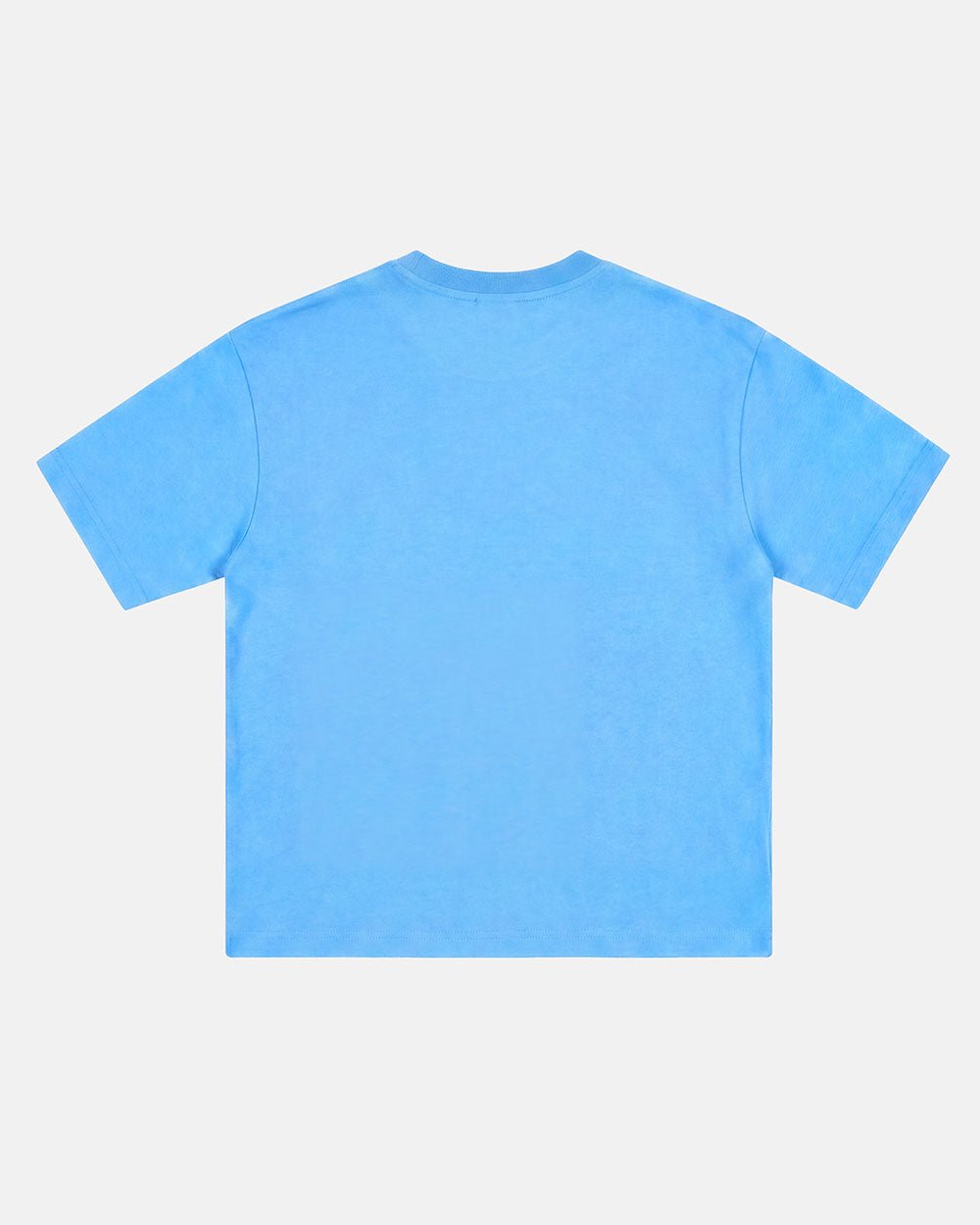 ICEY TEE BLUE - light blue graphic tee, back view - Cold Culture #packshot
