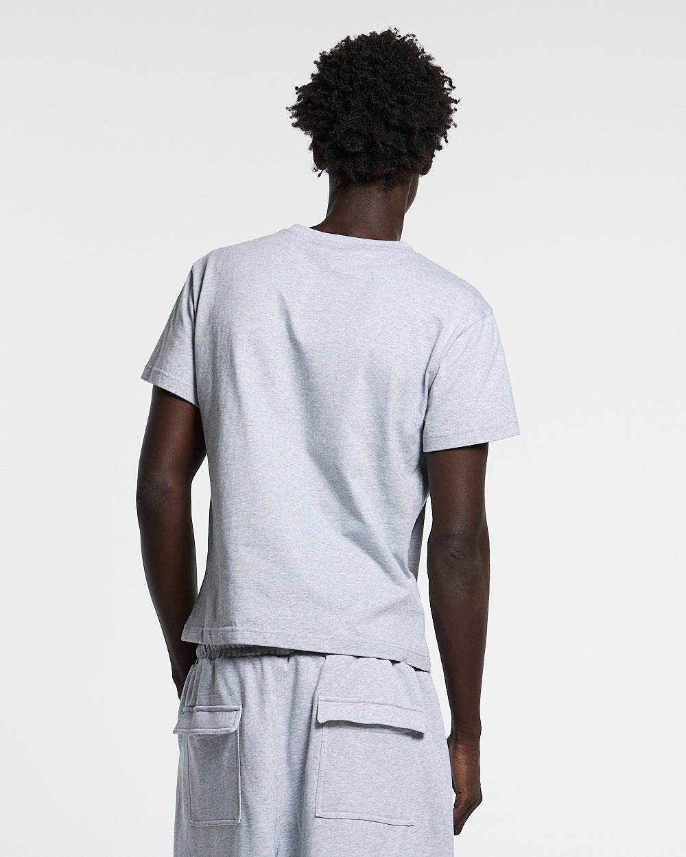 ICON TEE HEATHER GREY - heather grey graphic print tee, back view on male model - Cold Culture #man