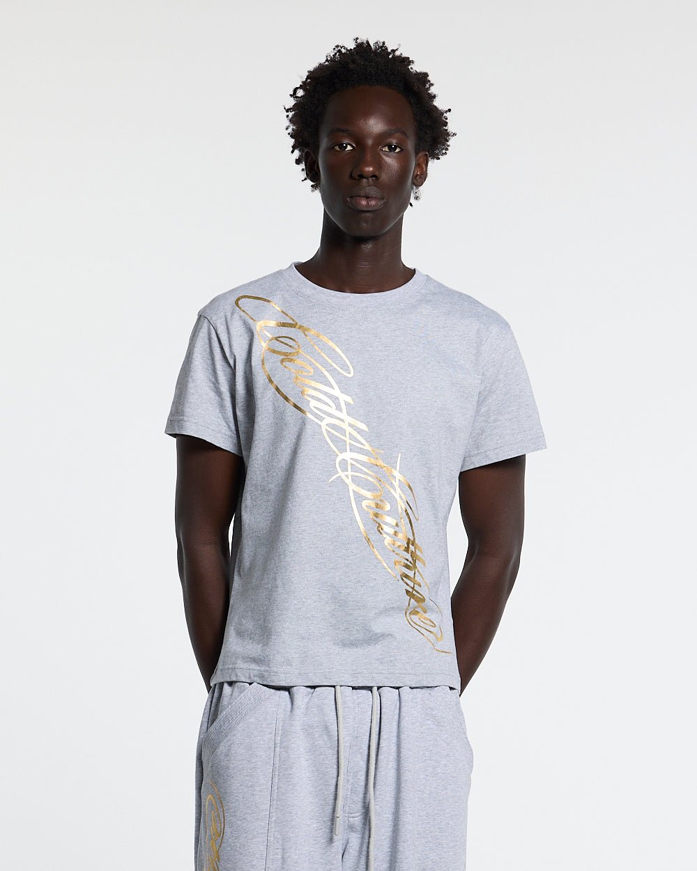 ICON TEE HEATHER GREY - heather grey graphic print tee, front view on male model - Cold Culture #man