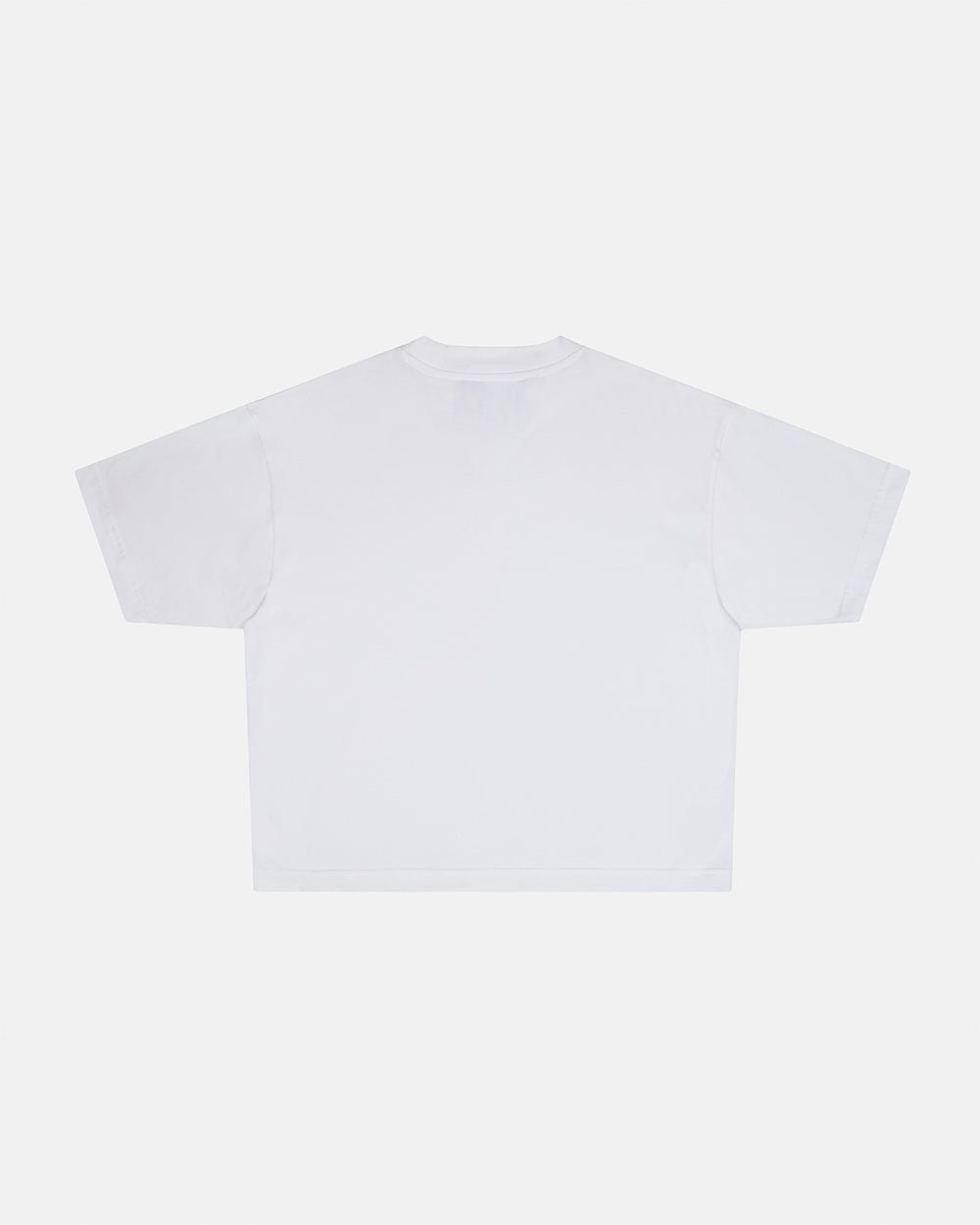 LOW KEY BASIC TEE 2 PACK WHITE & BLACK - black and white basic tees, back view - Cold Culture #packshot