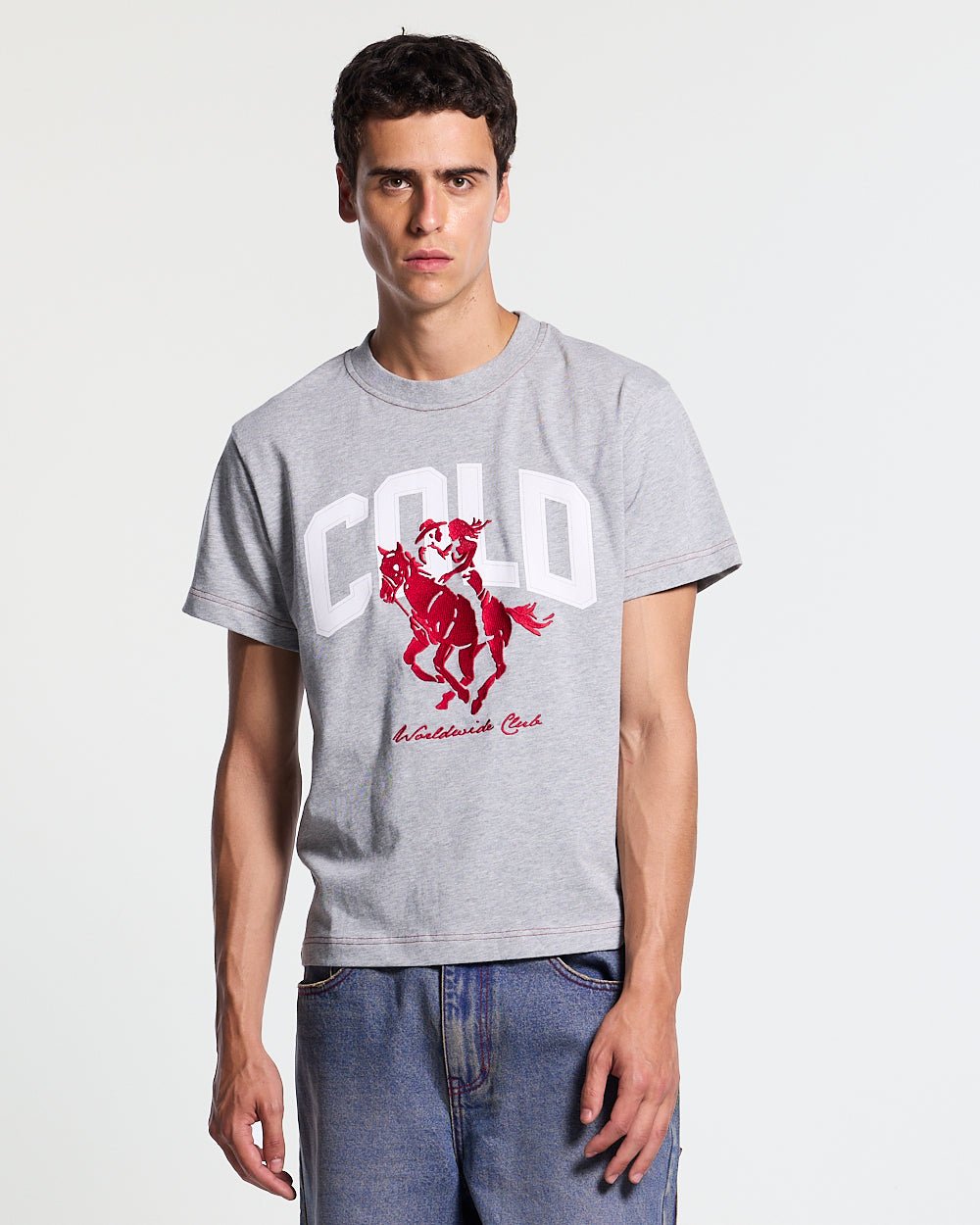 OPERA TEE HEATHER GREY - heather grey horse print tee, front view on male model - Cold Culture #man