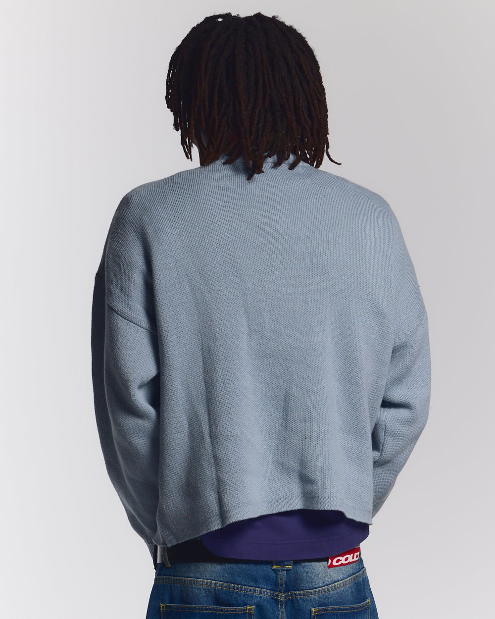 SPIDER KNIT LIGHT BLUE - light blue spider print knit sweater, back view on male model - Cold Culture #man