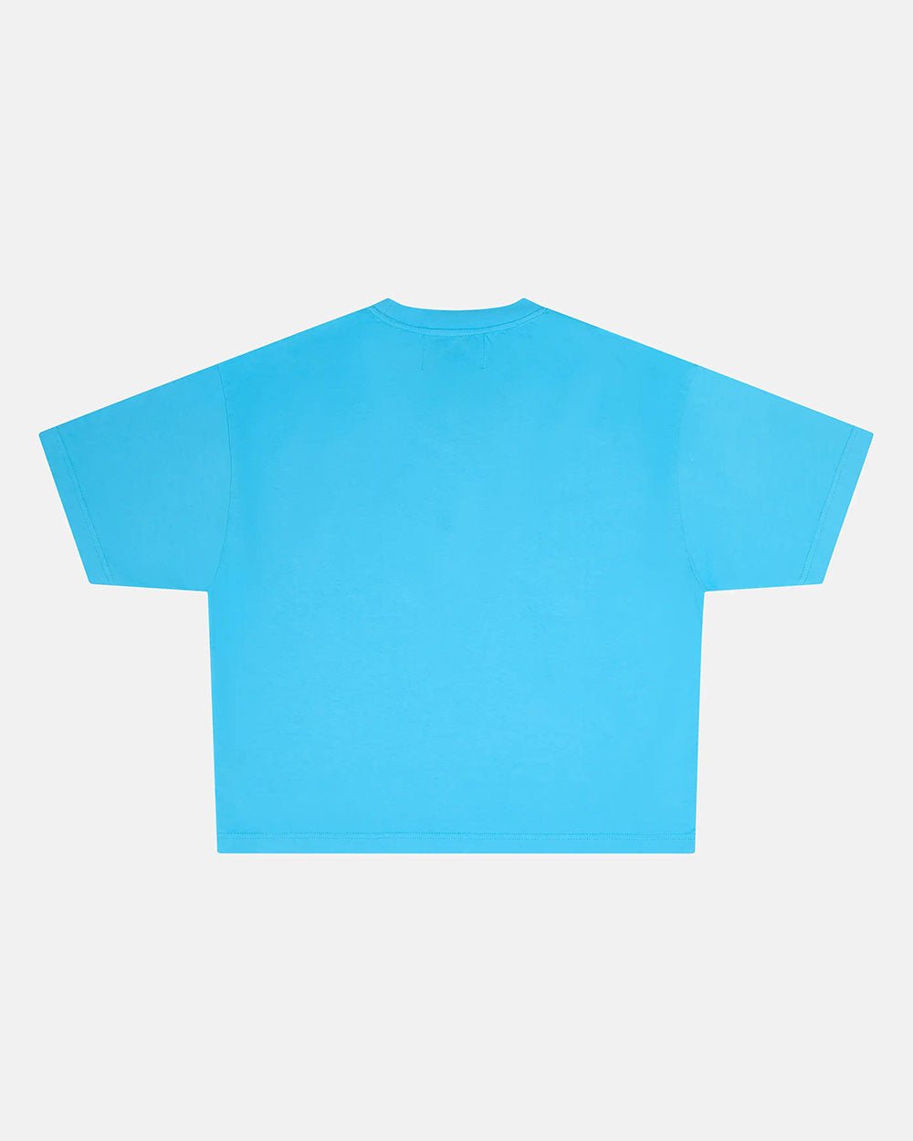 SPIDER TEE BLUE - blue graphic print tee, back view - Cold Culture #packshot